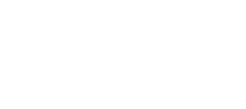 logo 06 light